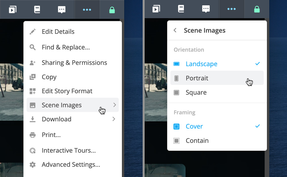 Image orientation options