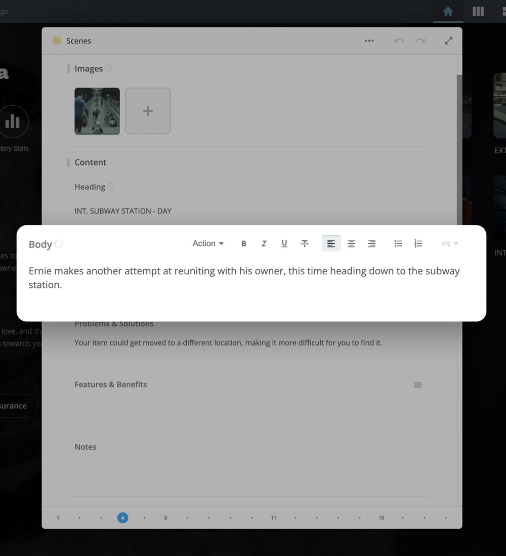 Body section in Edit Window