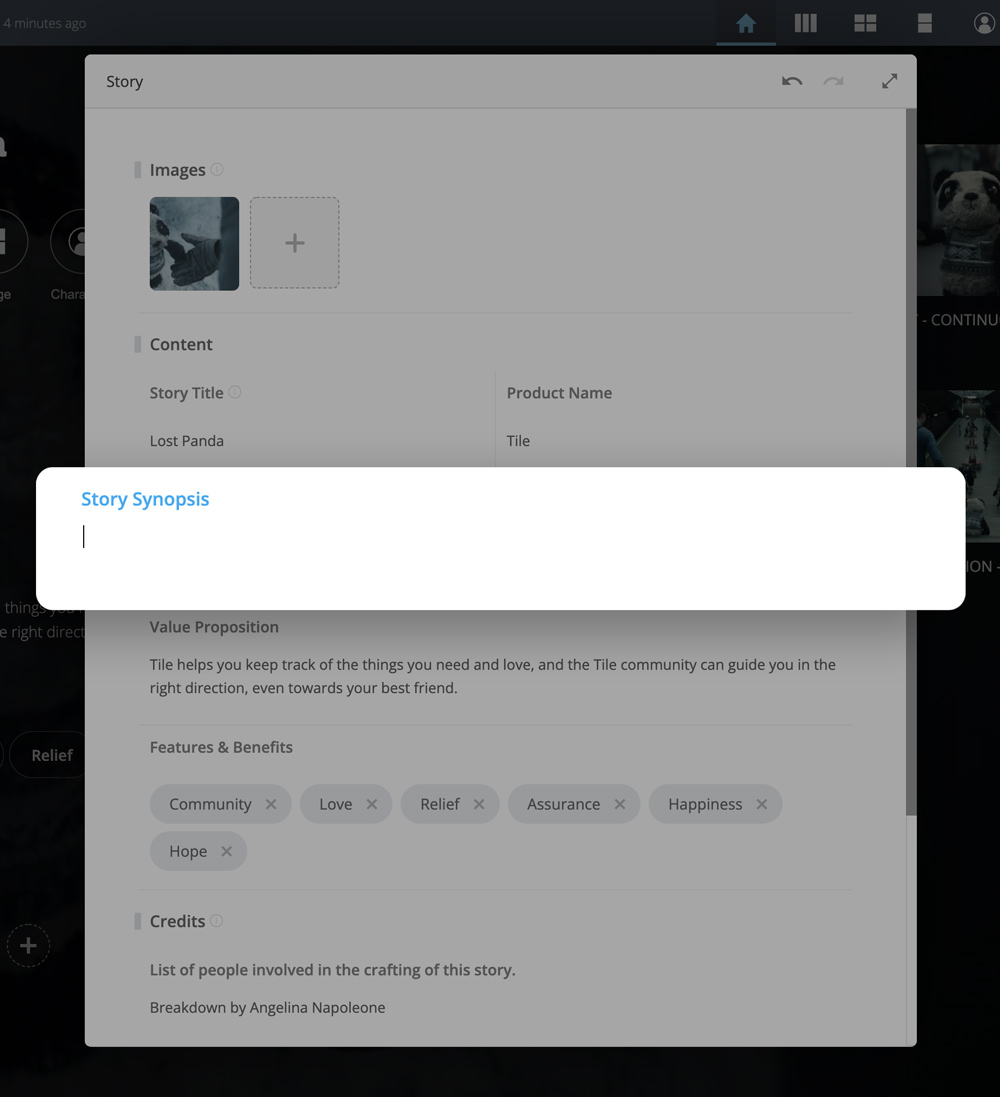 Edit Window with synopsis selected