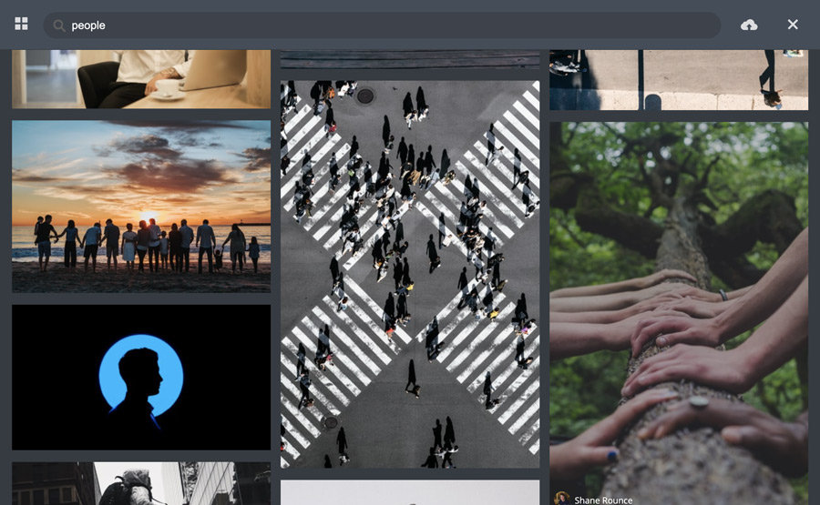 Search Unsplash images